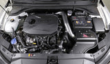 AEM Cold Air Intake