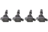 MSD IGNITION COILS BLASTER SERIES