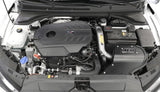 AEM Cold Air Intake